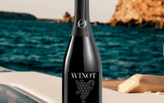 Winot spumante analcolico Premium 0,0% Sauvignon Blanc 100% Made in Italy